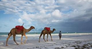 Neptune Village Beach Resort & Spa - All Inclusive - 7