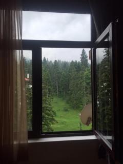 VIVA Flora apartment 607A - Borovets - 1