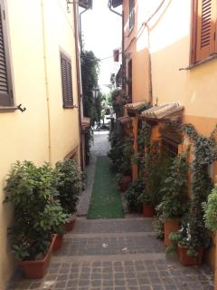 La Casa di Livia - 5