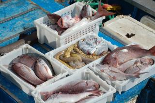 Apartamento Agaete beach 4B - 1