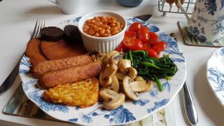 Weymouth Vegan B&B - Weymouth - 5