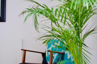 The Coast House - The Mumbles - 2