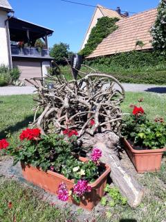 Fewo Hoyer - Hinterhermsdorf - 8