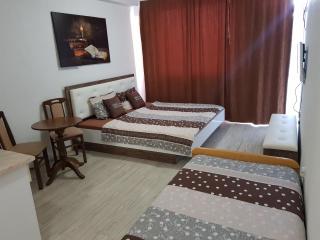 VIK Apartments - Vinica - 0