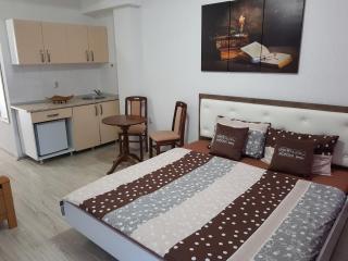 VIK Apartments - Vinica - 4