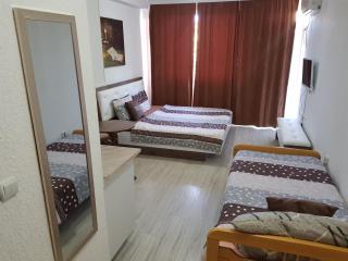 VIK Apartments - Vinica - 5