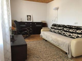 Trakai Old town Apartment - 7