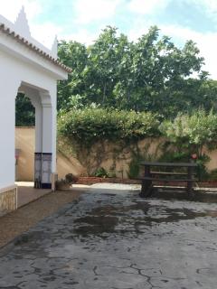 La Orquídea Morada - Conil de la Frontera - 5