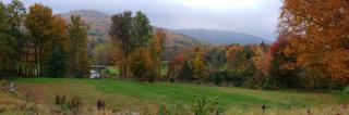Georgian Garden - Windham - 2