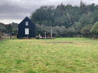 Kakariki Cottage - Papakura - 7