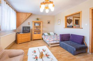 Apartament Nowotarski - Zakopane - 9