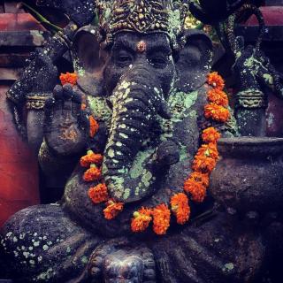 Nikuna homestay - Ubud - 3