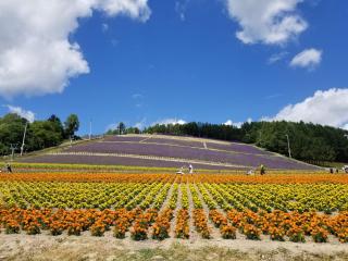 Furano Mount Villa - Furano - 3