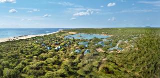 Cinnamon Wild Yala - Yala - 9