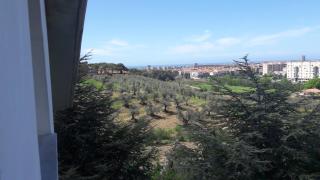 Dolci Ricordi - Livorno - 5