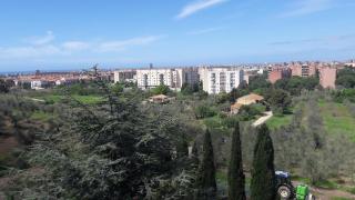 Dolci Ricordi - Livorno - 6