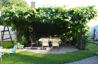 Weinbauernhof Löscher - Retz - 9