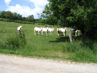 4 Collines - Hagnicourt - 4