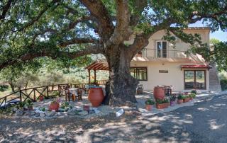 Antartisa B&B - Límni - 9
