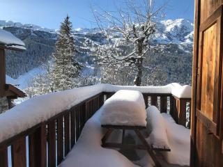 Meribel Altitude1600 chalet 6 personnes en pleine nature au milieu des pistes - Méribel - 1