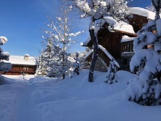 Meribel Altitude1600 chalet 6 personnes en pleine nature au milieu des pistes - Méribel - 8
