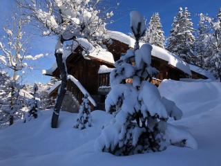Meribel Altitude1600 chalet 6 personnes en pleine nature au milieu des pistes - Méribel - 0