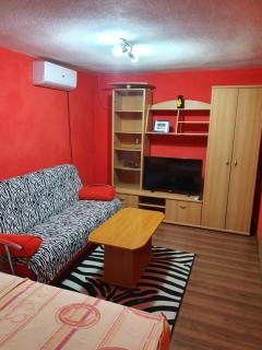 Apartment Savanovic - Banja Luka - 9