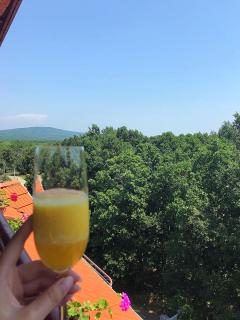 Guest House Villa Rose - Primorsko - 5
