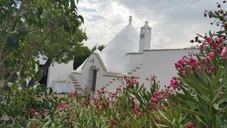 Trullo gioioso - Ostuni - 0