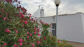 Trullo gioioso - Ostuni - 4