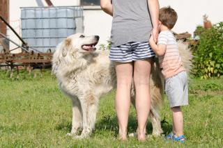 Maja - Guhrow - 1