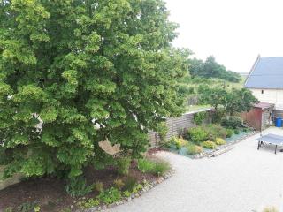 L'Ayguevives - Faverolles-sur-Cher - 8