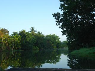 Hotel Veragua River House - Sierpe - 4