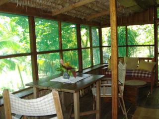 Hotel Veragua River House - Sierpe - 1