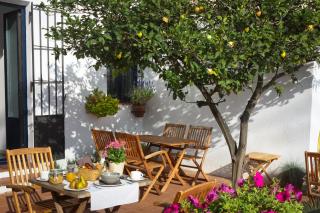 Hotel Casa Calella - Calella de Palafrugell - 4