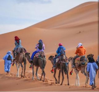 bassou luxury camp - Merzouga - 5