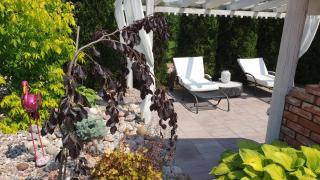 Lemon home - Dziemiany - 1