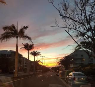 SAFA 2 - Palm-mar - 0