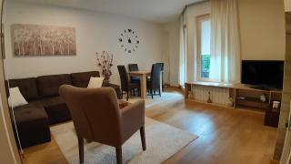 Lux Apartment Lazarevic - Zlatibor - 9