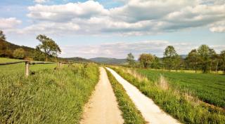 Siedlisko Czarny Kot - Lądek-Zdrój - 2