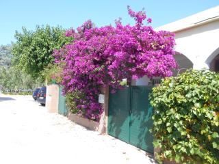 Casa La Madriguera - 2