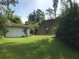The Doll House - Adults Only - 3