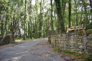 FINCA SALVADOR - Baralla - 0