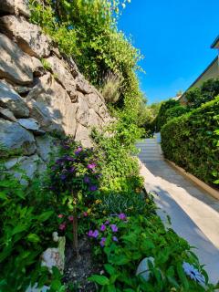Apartmani Renata - 1