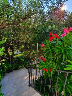 Apartmani Renata - 4