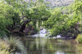 Rivendell Trout Estate - Lydenburg - 4