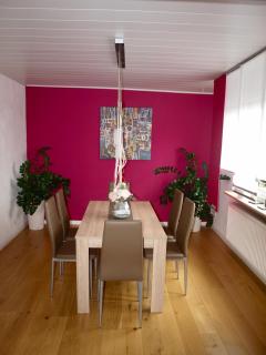 SC Apartment - Nürnberg Messe / Fränkisches Seenland - Schwabach - 5
