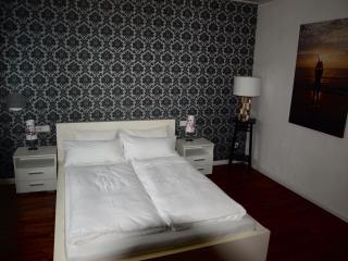 SC Apartment - Nürnberg Messe / Fränkisches Seenland - Schwabach - 4