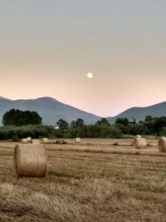 Il Giardino delle Zagare - Fondi - 1