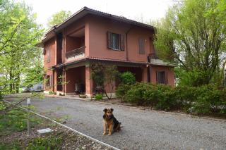 gambisa street - Soliera - 0
